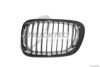 TRUCKTEC AUTOMOTIVE 08.62.226 Radiator Grille